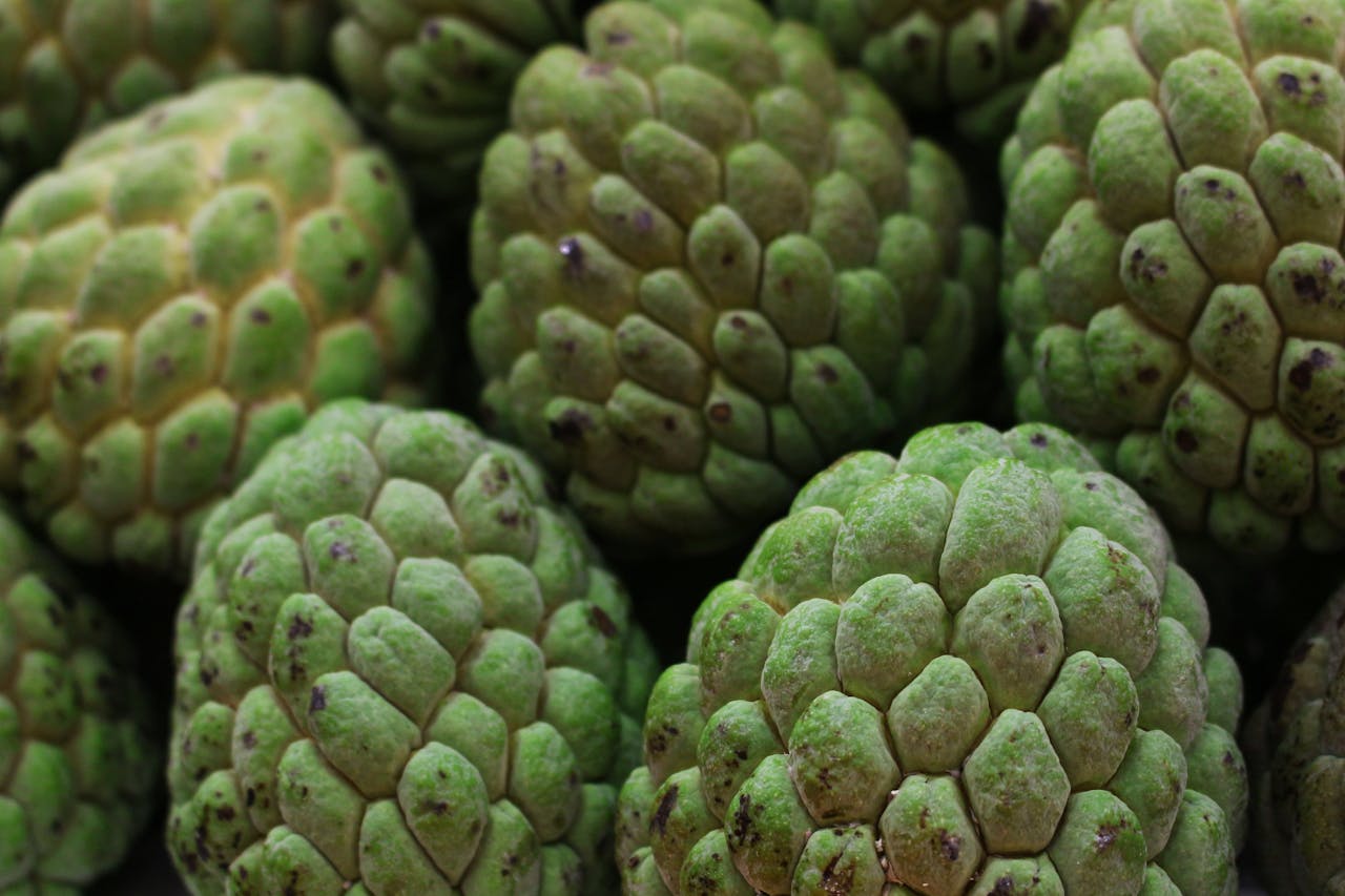 Fresh Sugar Apples in Close-Up Photography